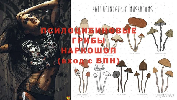 герыч Михайловка