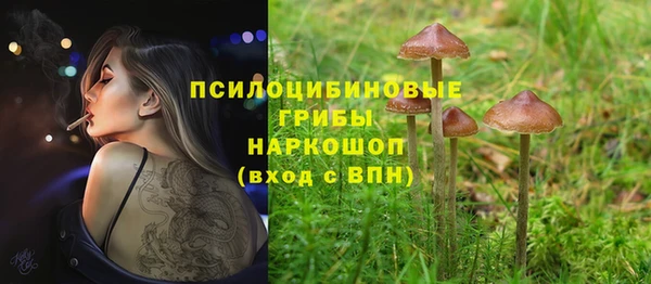 марки nbome Михайлов
